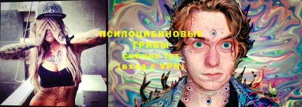 индика Абинск