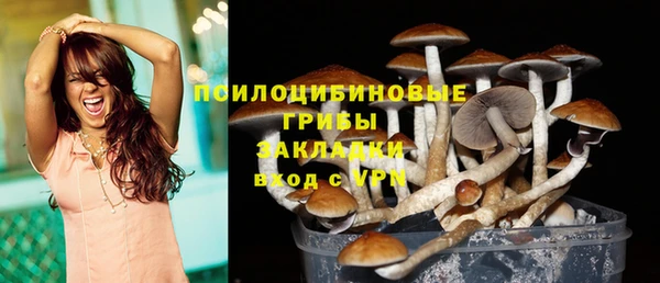 ешки Алексеевка