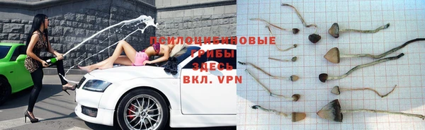 COCAINE Алзамай