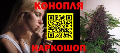 дмт Аргун