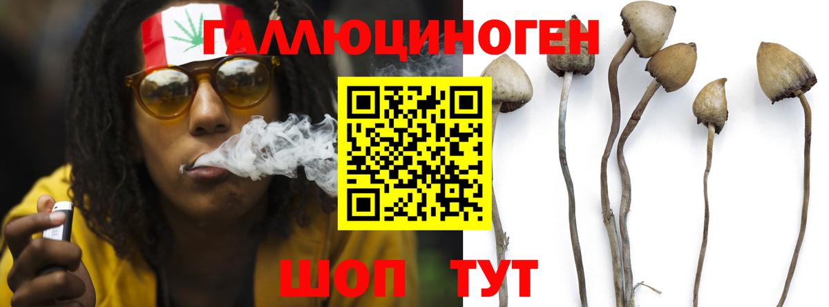 Псилоцибиновые грибы ЛСД Батайск